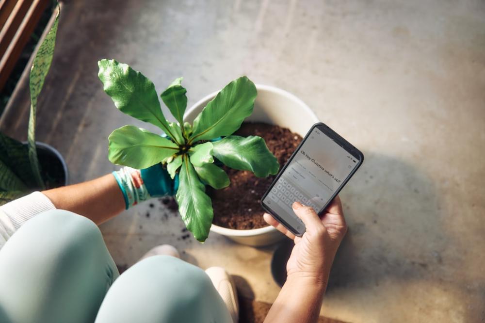 Achat d?un véhicule : comment fonctionne le bonus écologique ?