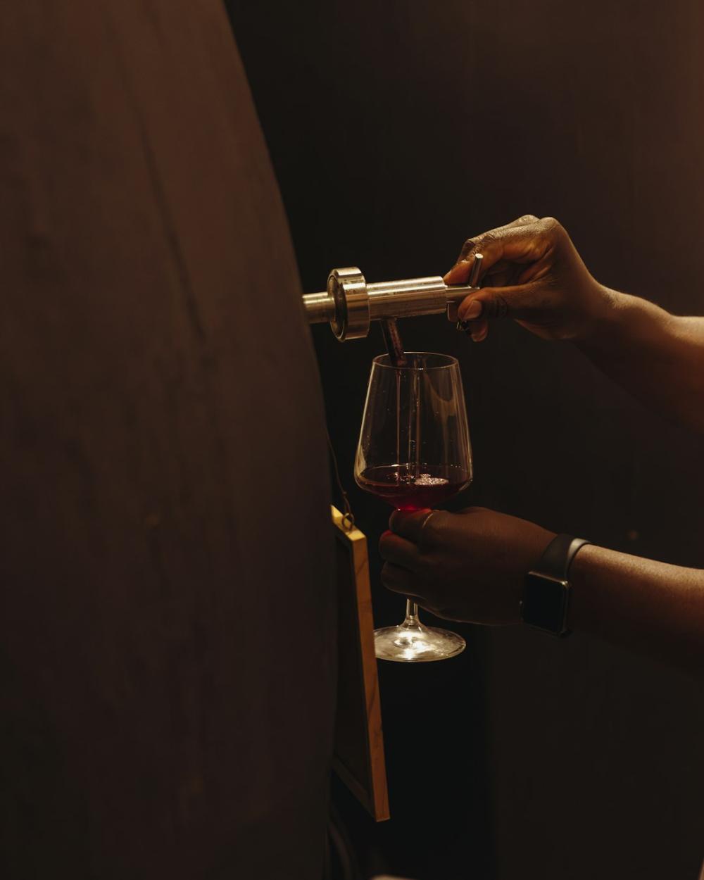 Pinot Noir: en elegant druva med stor karaktär